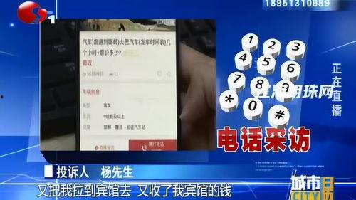 河北杨先生最新爆料完整,最新爆料事件全解析